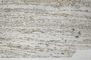 Plane Polarized, S60835