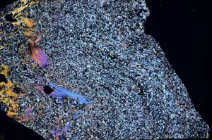 Cross Polarized, S60836