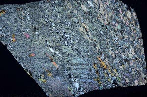 Cross Polarized, S60837