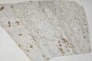 Plane Polarized, S60837