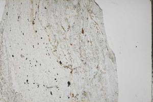 Plane Polarized, S60838