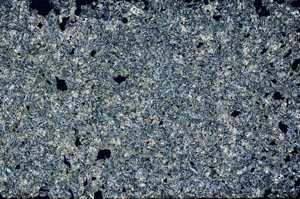 Cross Polarized, S60839