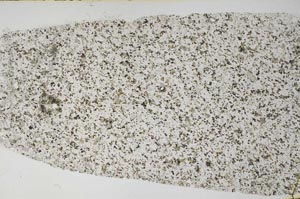 Plane Polarized, S60842