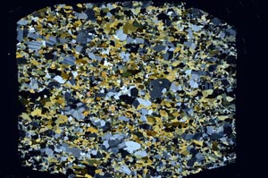 Cross Polarized, S60856