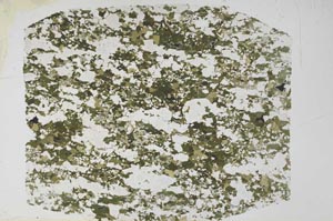 Plane Polarized, S60856