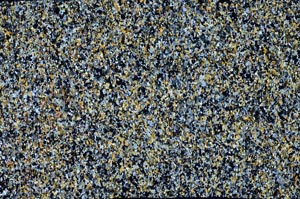 Cross Polarized, S60857