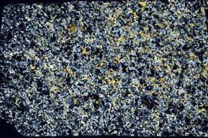 Cross Polarized, S60858