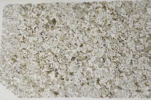 Plane Polarized, S60858