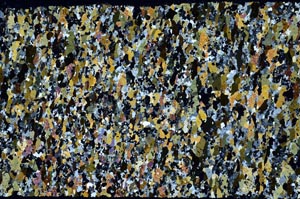 Cross Polarized, S60862