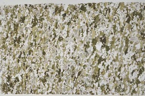 Plane Polarized, S60862