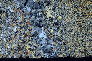 Cross Polarized, S60865