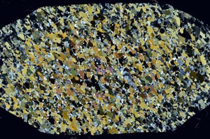 Cross Polarized, S60867