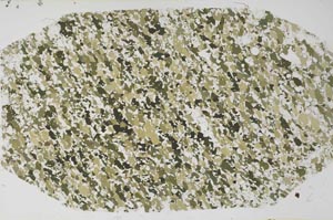 Plane Polarized, S60867