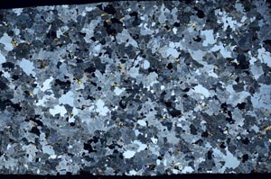 Cross Polarized, S60870