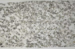 Plane Polarized, S60870