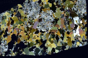 Cross Polarized, S60877