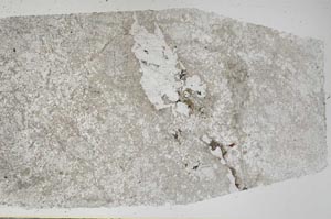 Plane Polarized, S60916