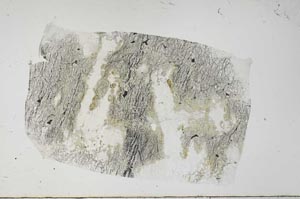Plane Polarized, S60924