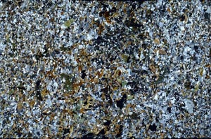 Cross Polarized, S60926