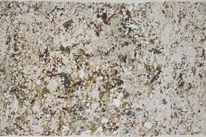 Plane Polarized, S60926