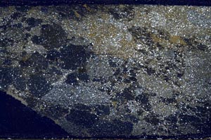 Cross Polarized, S60970