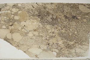 Plane Polarized, S60970
