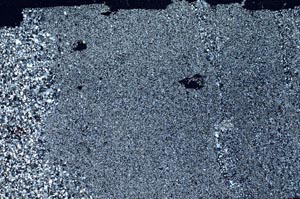 Cross Polarized, S60979