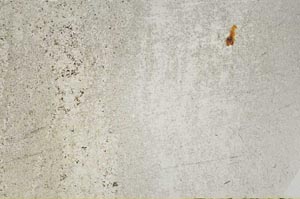 Plane Polarized, S60987