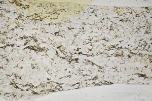 Plane Polarized, S61135