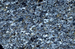 Cross Polarized, S61145