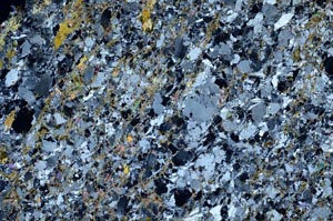 Cross Polarized, S61146