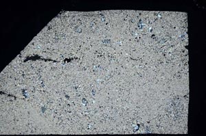 Cross Polarized, S61170