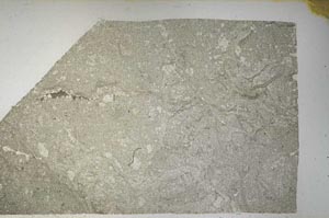 Plane Polarized, S61170