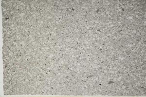 Plane Polarized, S61182
