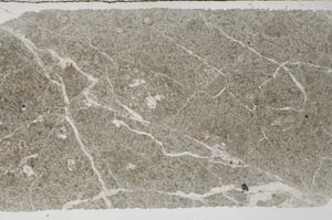 Plane Polarized, S61194