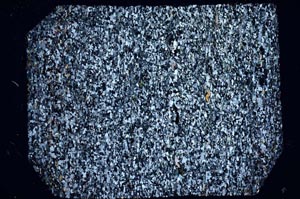 Cross Polarized, S61195