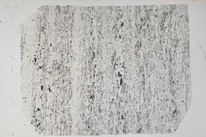 Plane Polarized, S61195