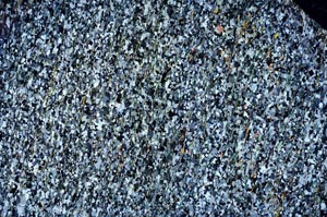 Cross Polarized, S61196