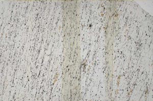 Plane Polarized, S61196