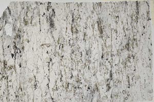 Plane Polarized, S61197