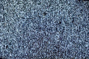 Cross Polarized, S61198