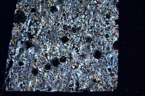 Cross Polarized, S61199