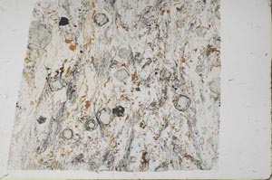 Plane Polarized, S61199