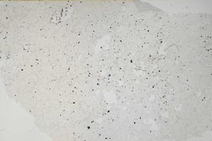 Plane Polarized, S61258