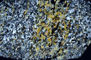 Cross Polarized, S61259