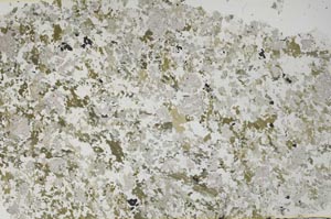 Plane Polarized, S61261