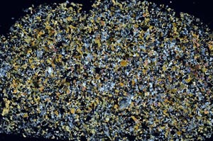 Cross Polarized, S61262