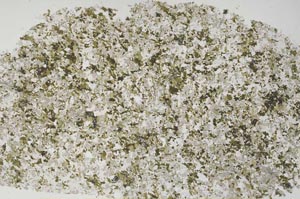 Plane Polarized, S61262