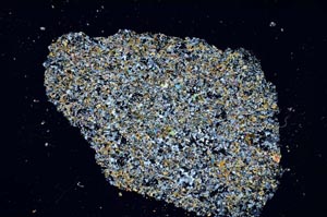 Cross Polarized, S61265