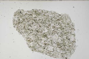 Plane Polarized, S61265